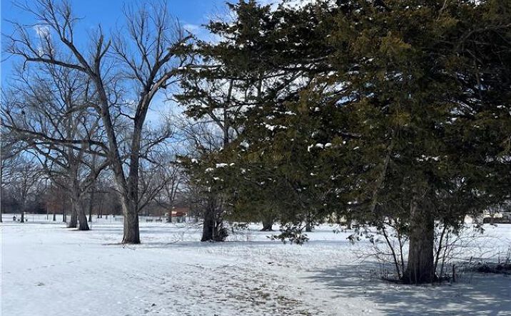 Pictures of Land property located at 712 S Walnut Street, Iola, KS 66749 for sales - image #1