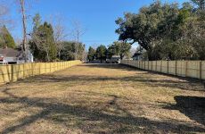 21998326