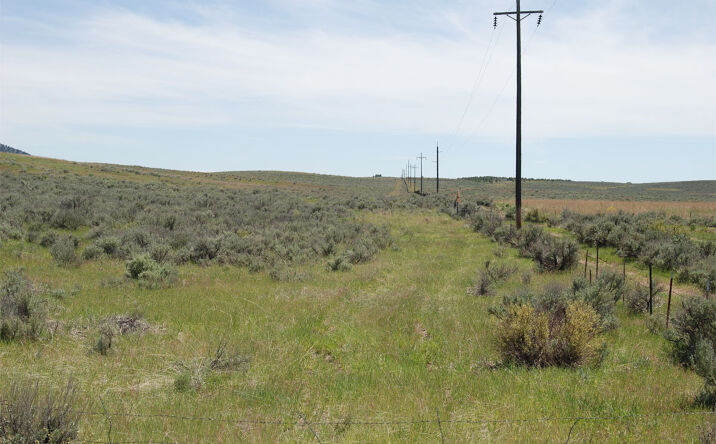 Pictures of Land property located at Hwy 395, Lakeview, OR 97630 for sales - image #1