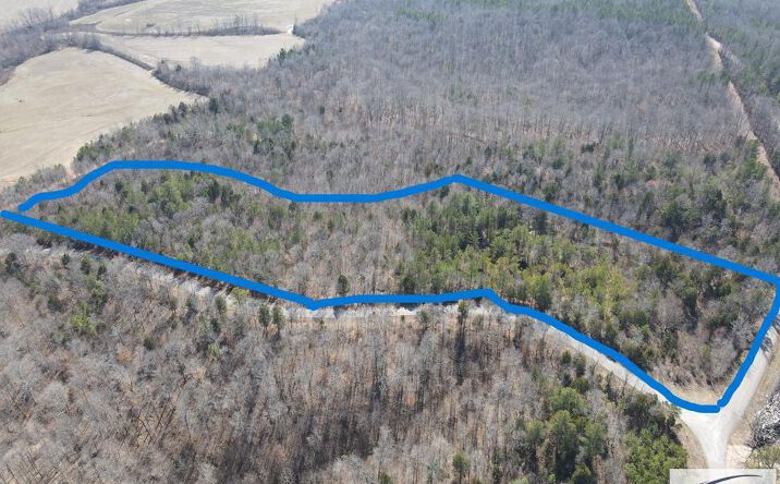Pictures of Land property located at 000 Hart Cemetery Rd, Cedar Grove, TN 38321 for sales - image #1