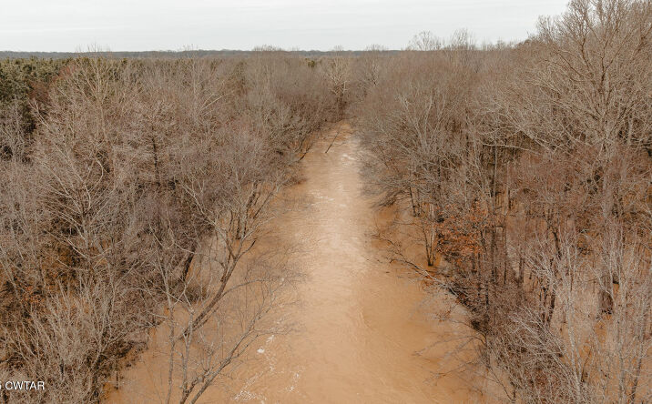 Pictures of Land property located at 0 Ethridge Levee Road, Greenfield, TN 38230 for sales - image #1
