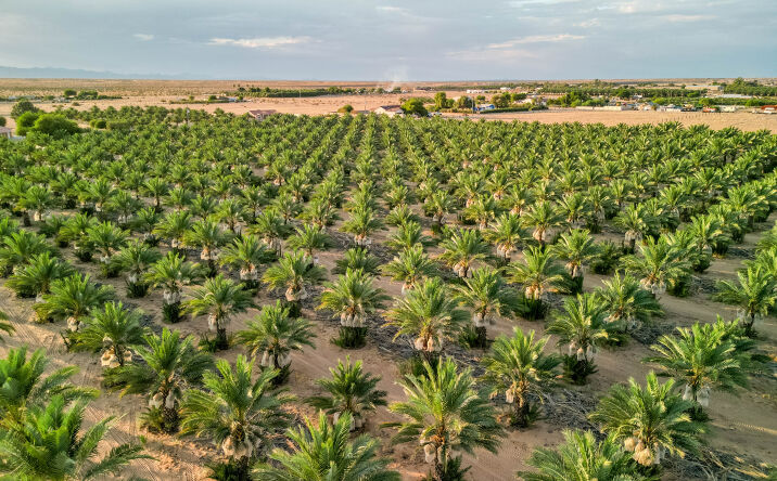 Pictures of Land property located at 17587 S AVE 3 1/2 E, Yuma, AZ 85365 for sales - image #1