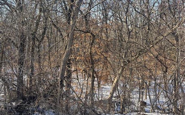 Pictures of Land property located at 13018 Timberland Drive, Kearney, MO 64060 for sales - image #1