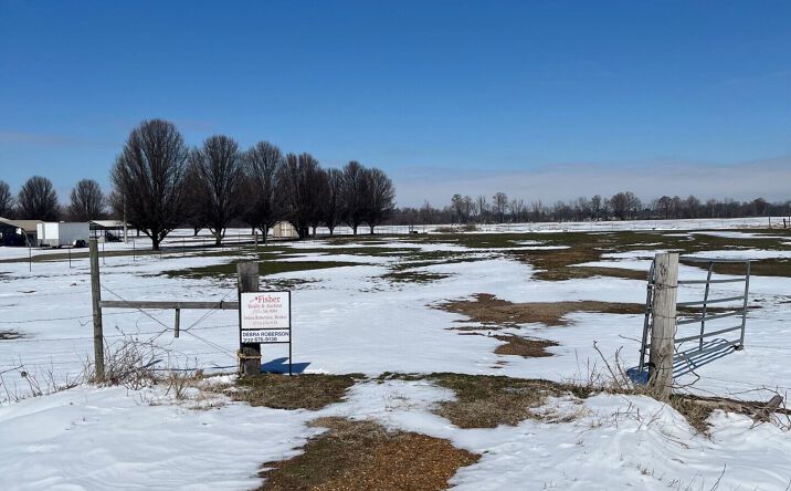 Pictures of Land, Multifamily property located at 0 Wynnburg Bluebank Road, Tiptonville, TN 38079 for sales - image #1