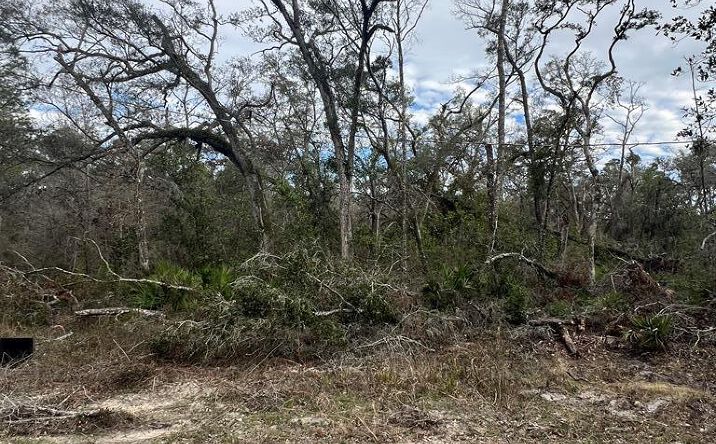Pictures of Land property located at TBD NE 281st Ave, Old Town, FL 32680 for sales - image #1