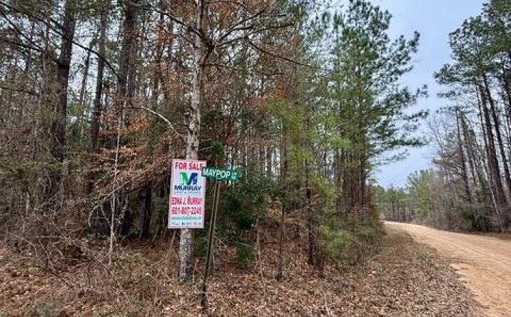 image of property at District 5 MS 39653