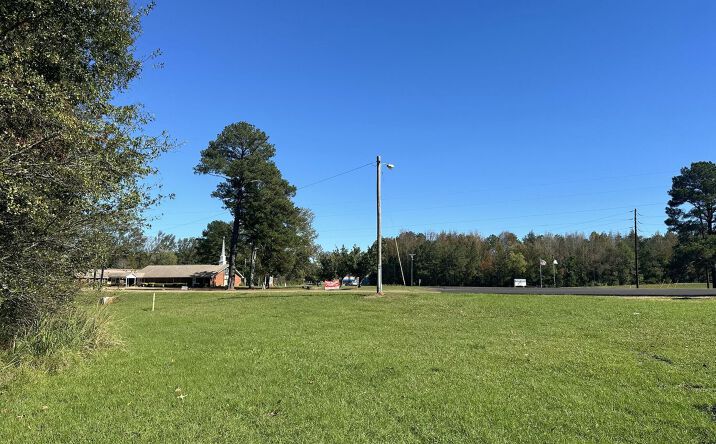 Pictures of Land property located at 000 S Hwy 469, Florence, MS 39073 for sales - image #1