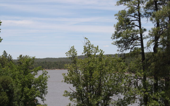 Pictures of Land, Mixed Use property located at Show Low Lake Rd, Pinetop-Lakeside, AZ 85929 for sales - image #1