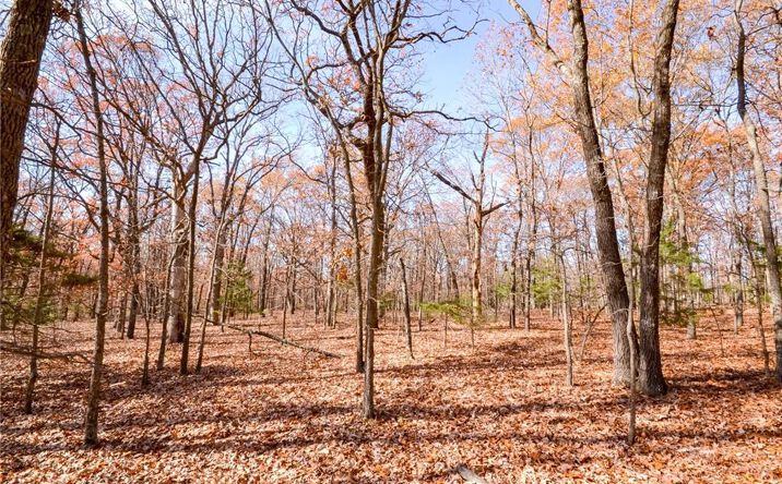 Pictures of Land, Special Purpose property located at 1 S Highway AA N/A, Stockton, MO 65785 for sales - image #1