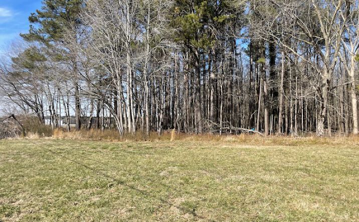 Pictures of Land property located at Parcel 24 Ocean Hwy, Westover, MD 21871 for sales - image #1