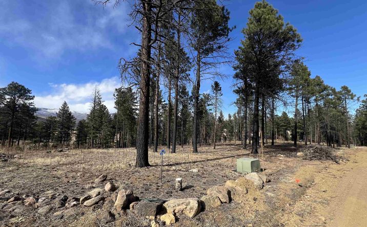 Pictures of Land property located at 163 Goleta Court, Rociada, NM 87742 for sales - image #1