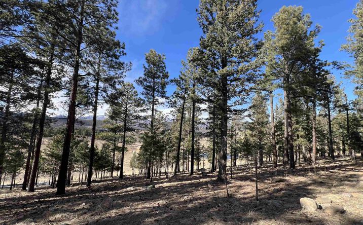Pictures of Land property located at 30 Goleta Court, Rociada, NM 87742 for sales - image #1