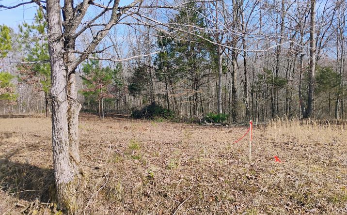 Pictures of Land property located at 00 Stan Lane, Cedar Grove, TN 38321 for sales - image #1