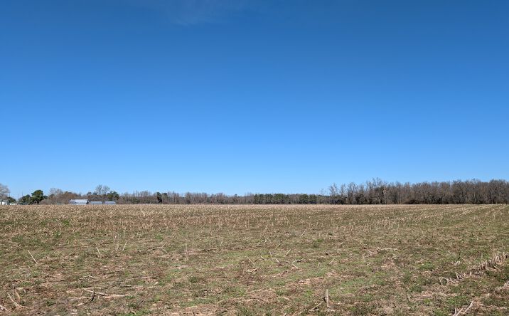 Pictures of Land property located at Cedar Fork Rd, Beulaville, NC 28518 for sales - image #1