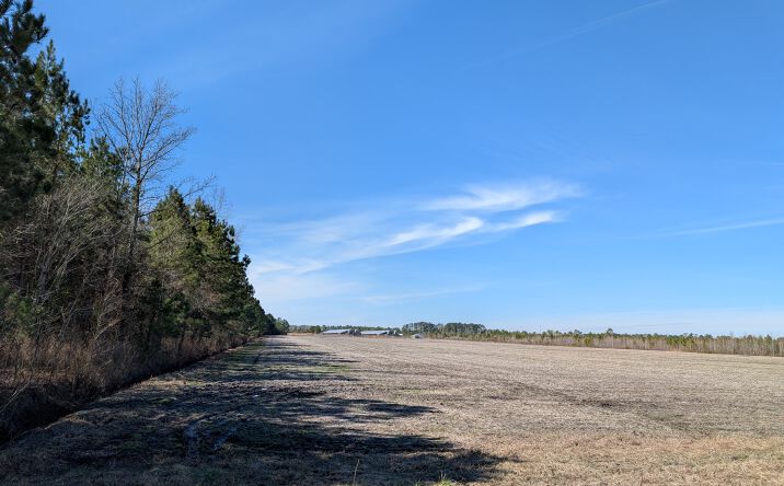 Pictures of Land property located at 522 Plum Nearly Lane, Trenton, NC 28585 for sales - image #1