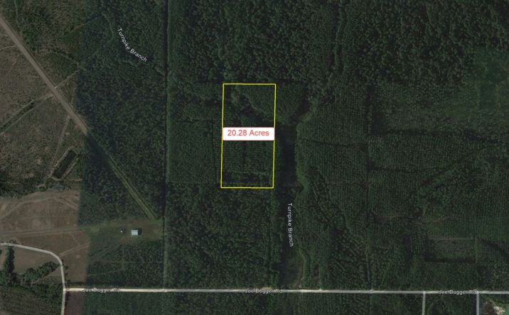 Pictures of Land property located at Joe Dugger Rd, Freeport, FL 32439 for sales - image #1