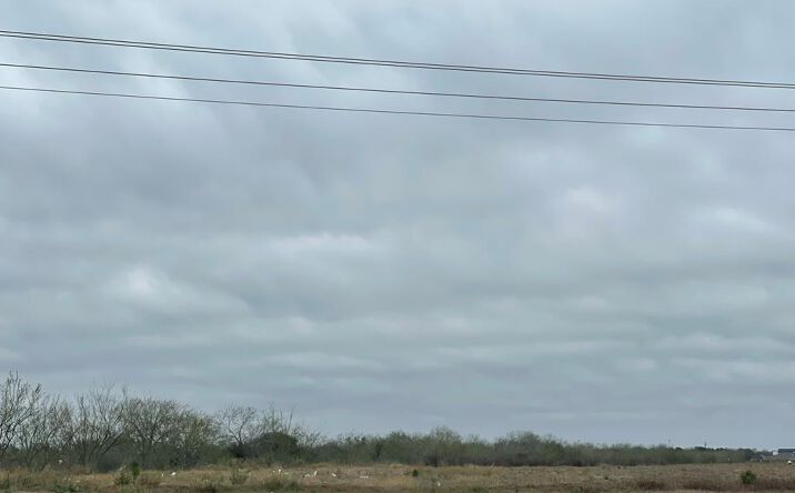 Pictures of Land property located at 0 E Ruben M Torres Blvd., Brownsville, TX 78521 for sales - image #1