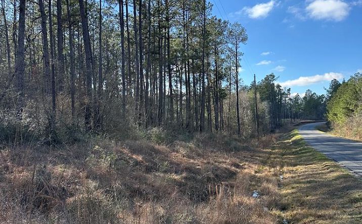 Pictures of Land, Multifamily, Special Purpose property located at 0 Emile Davis Rd, Poplarville, MS 39470 for sales - image #1