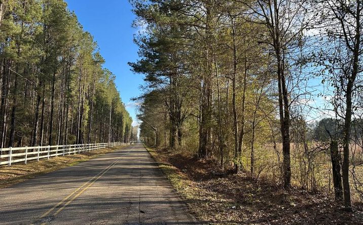 Pictures of Land, Multifamily property located at 0 John Amacker Rd, Poplarville, MS 39470 for sales - image #1