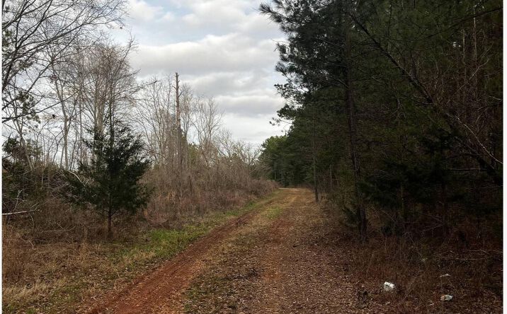 Pictures of Land property located at 2080 Browning Rd, Enoree, SC 29335 for sales - image #1