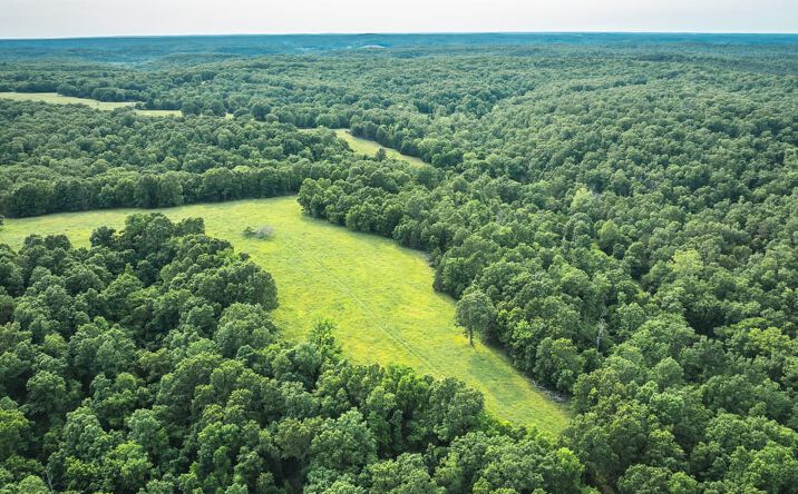 Pictures of Land property located at 784 Burley Ridge, Cook Station, MO 65449 for sales - image #1
