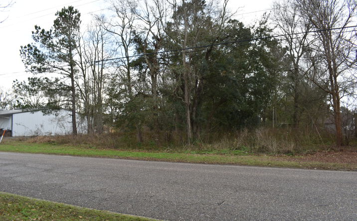 Pictures of Land property located at Nichols Ave, Fairhope, AL 36532 for sales - image #1