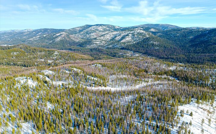 Pictures of Land property located at NHN McGinnis Meadows - Fishtrap Road Section 9, Libby, MT 59923 for sales - image #1