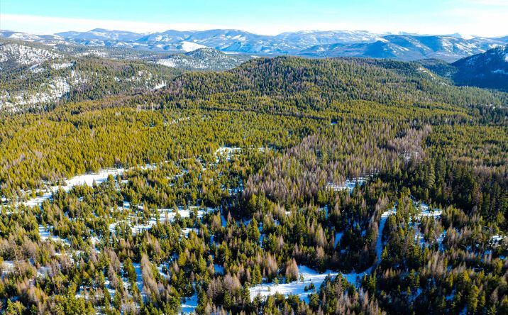 Pictures of Land property located at NHN Elk Creek - McGinnis Meadows Road Section 11, Libby, MT 59923 for sales - image #1
