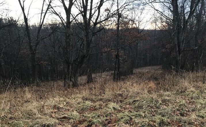 Pictures of Land property located at 277 Merri-Wood Drive NE, Newark, OH 43055 for sales - image #1