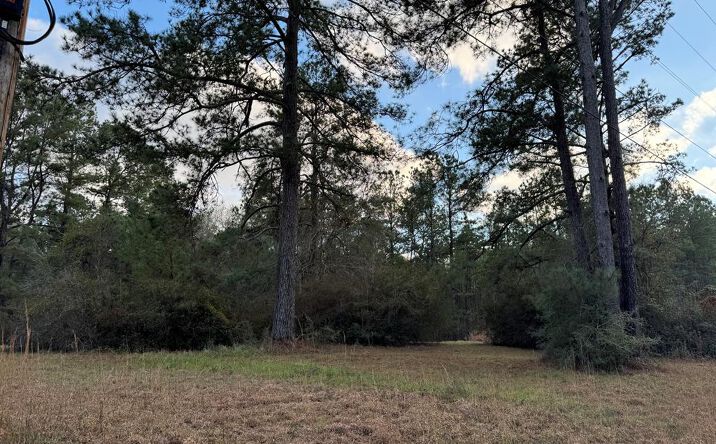 Pictures of Land property located at 334 Baughman Rd, Poplarville, MS 39470 for sales - image #1