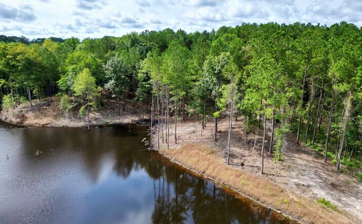 Pictures of Land, Multifamily, Special Purpose property located at 01 Skyline Dr, Poplarville, MS 39470 for sales - image #1