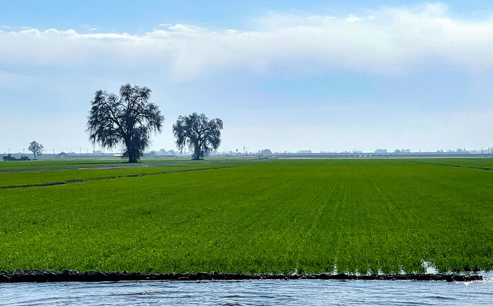 Pictures of Land property located at See brochure for exact address, Millux, CA 93311 for sales - image #1