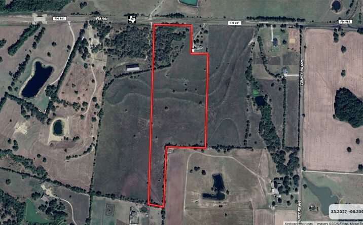 Pictures of Land property located at 15868 FM981, Blue Ridge, TX 75424 for sales - image #1