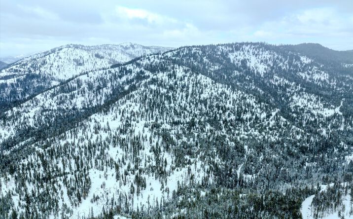 Pictures of Land property located at Nhn McGinnis Meadows - Bayhorse Road Section 1, Libby, MT 59923 for sales - image #1