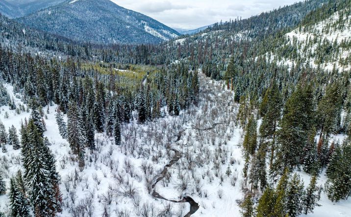 Pictures of Land property located at Nhn E Fisher Road Section 3, Libby, MT 59923 for sales - image #1
