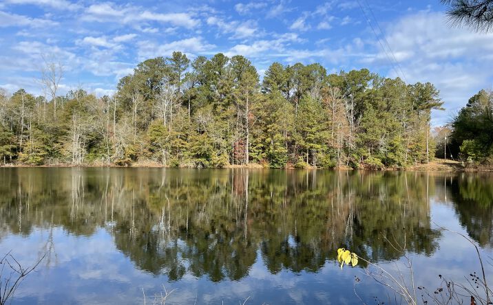 Pictures of Land property located at 1775 Brown Rd, Hephzibah, GA 30815 for sales - image #1