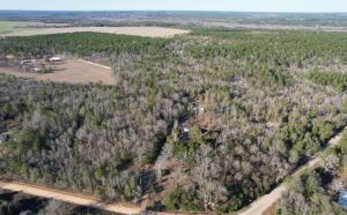 Pictures of Mixed Use property located at 1723 Oak Ridge Club Road, Windsor, SC 29856 for sales - image #1