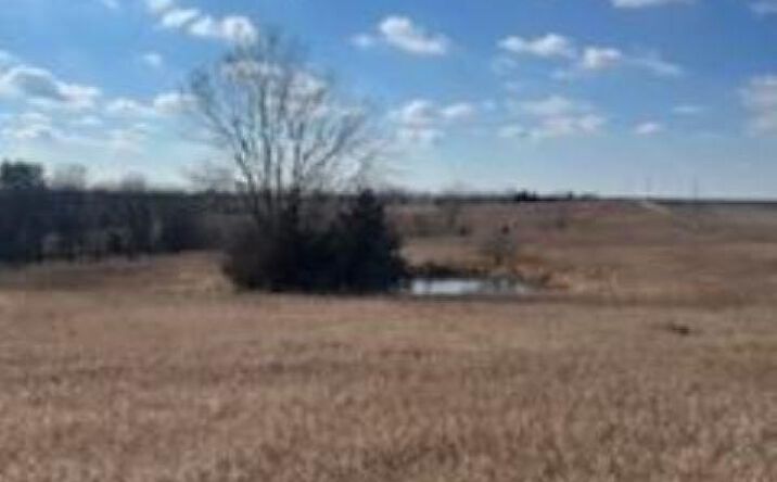Pictures of Land, Special Purpose property located at 60 325th Avenue, Ellston, IA 50074 for sales - image #1