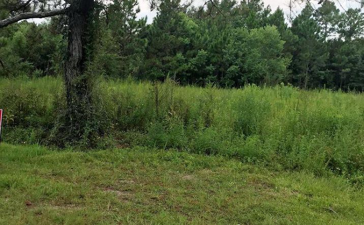Pictures of Land property located at 357 Rosehart, Pass Christian, MS 39571 for sales - image #1