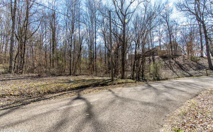 Pictures of Land property located at 000 Salt Lane, Savannah, TN 38372 for sales - image #1