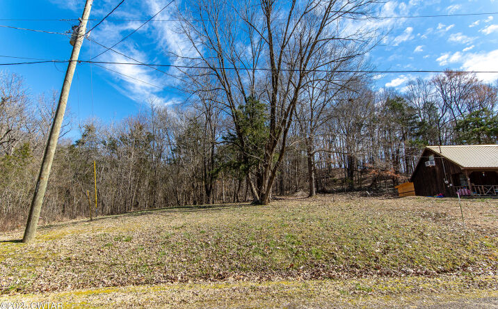 Pictures of Land property located at 000 Salt Lane, Savannah, TN 38372 for sales - image #1