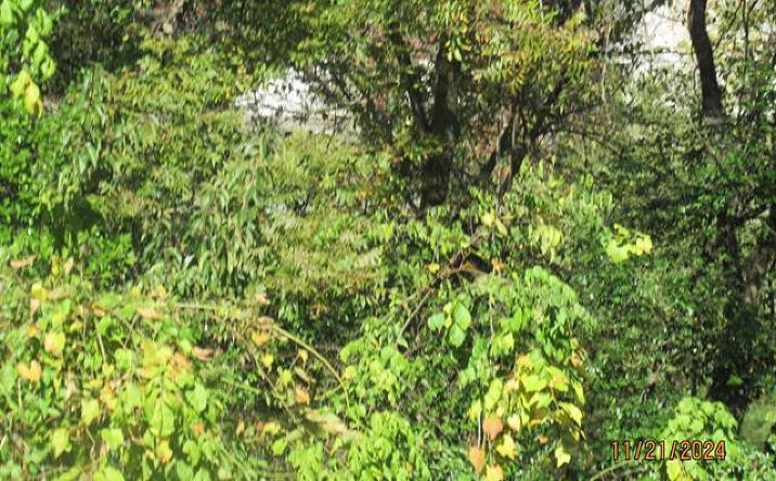 Pictures of Land property located at 0 Club Manor, Maumelle, AR 72113 for sales - image #1