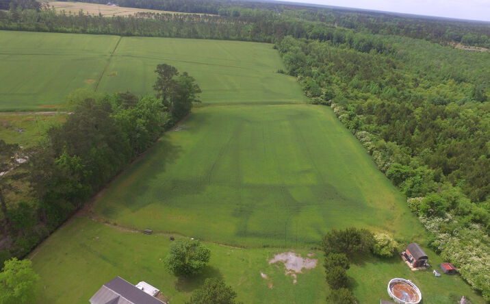 Pictures of Land property located at TBD Fowler Road, Conway, SC 29526 for sales - image #1