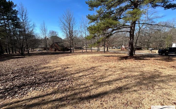 Pictures of Land property located at 0 Hawkins Ln, Huntingdon, TN 38344 for sales - image #1
