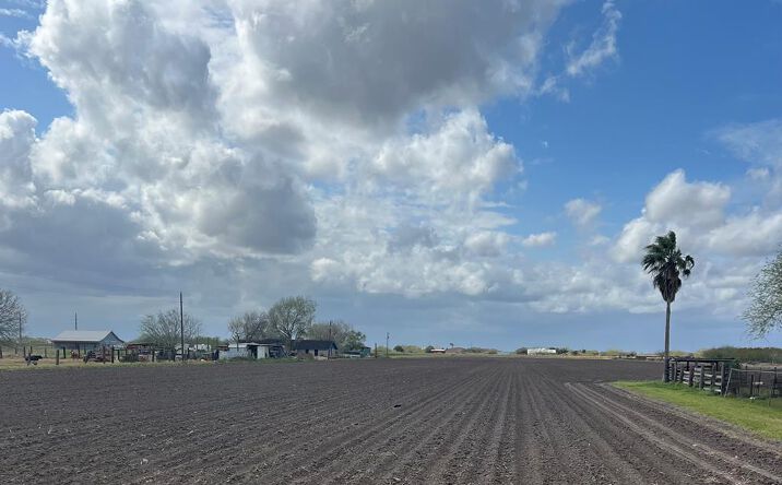 Pictures of Land property located at 24562 Nelson Rd., San Benito, TX 78586 for sales - image #1
