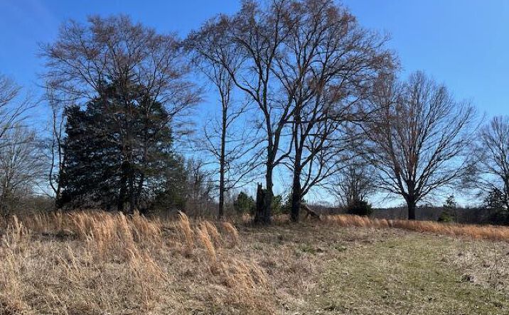 Pictures of Land property located at 0 Hwy 104 N, Cedar Grove, TN 38321 for sales - image #1