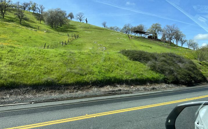 Pictures of Land property located at Ca 190, Springville, CA 93265 for sales - image #1