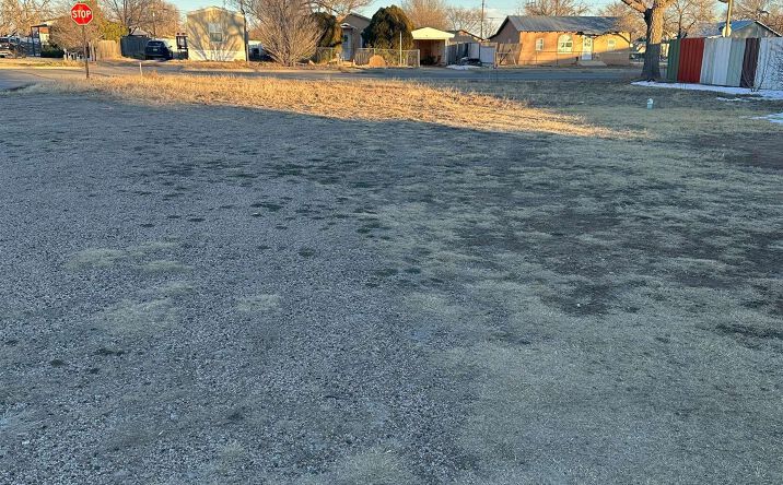 Pictures of Land property located at 1123 N Main Street, Portales, NM 88130 for sales - image #1