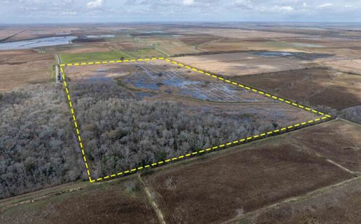 Pictures of Land property located at Couvillion Rd, Meaux, LA 70510 for sales - image #1