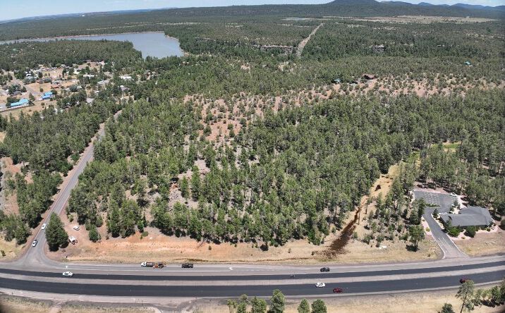 Pictures of Land property located at 34.17627848249082, -110.0055698782531, Pinetop-Lakeside, AZ 85929 for sales - image #1